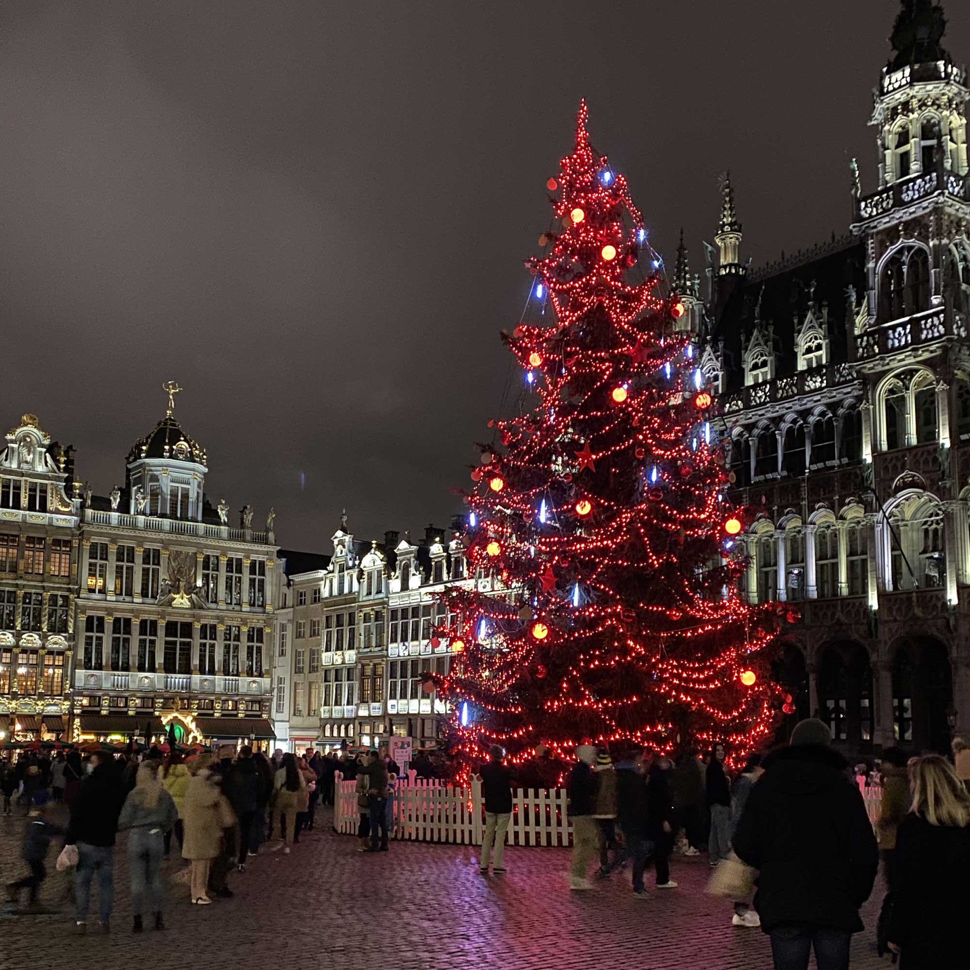 Guirlande scintillante L20m - 230V